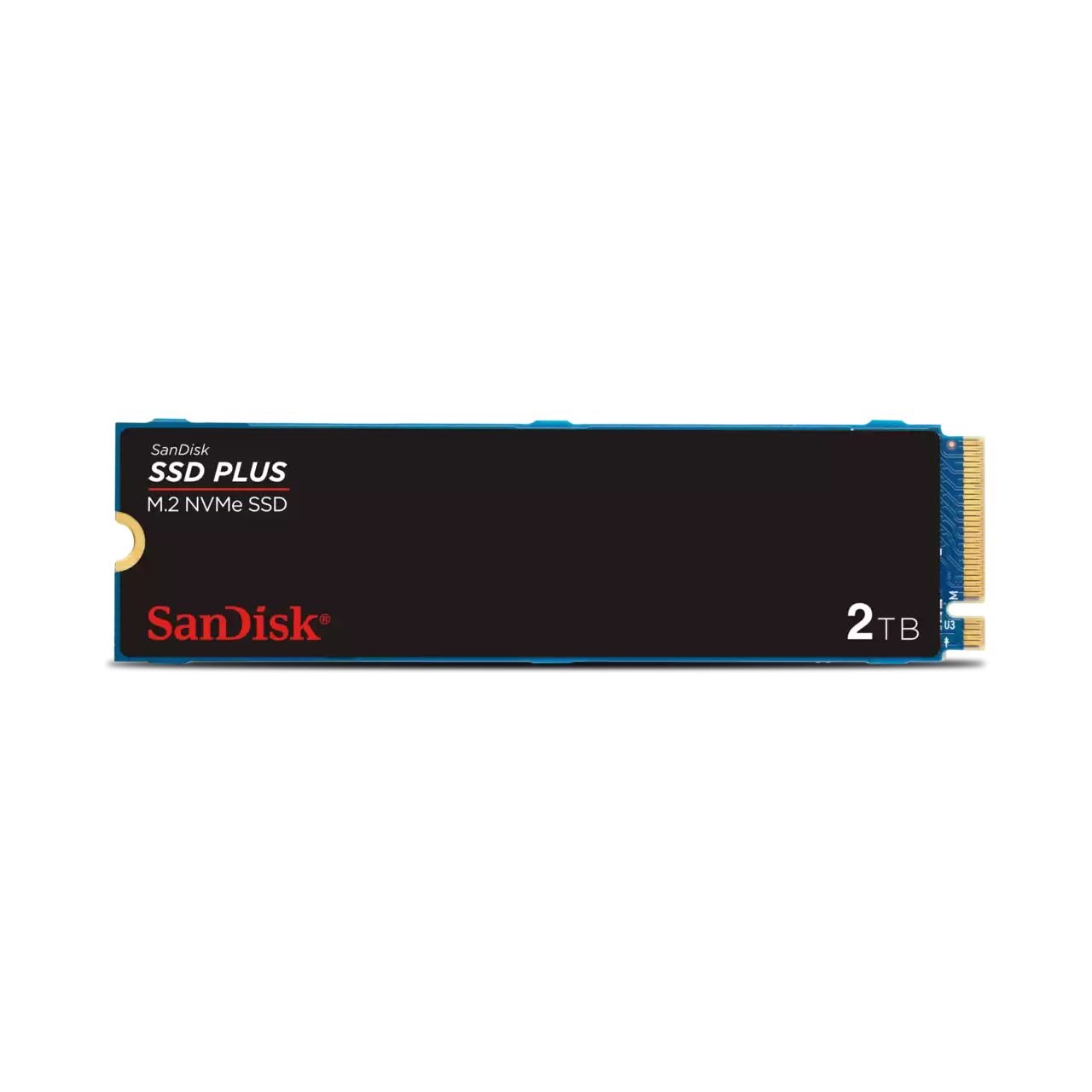 SanDisk Plus PCie 3 NVMe M.2 SSD | RAIQ